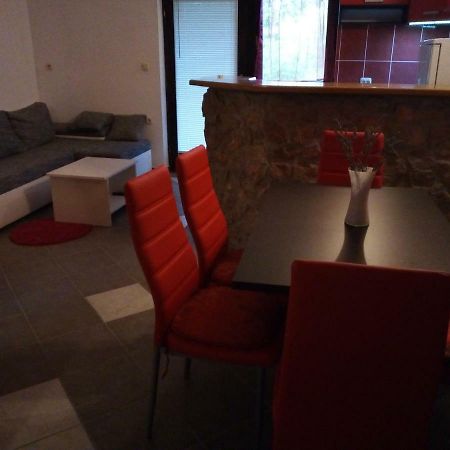 Studio Apartman Hrast Seline Zewnętrze zdjęcie